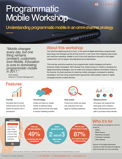 Programmatic Mobile workshop information sheet